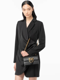 Кросс-боди PINKO Love One Mini Cl Vit.seta модель 100059-A0F1 Z99Q Фото