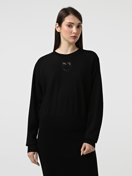 Худи и свитшоты PINKO Lanzarote модель 105417-A18M Z99 Фото
