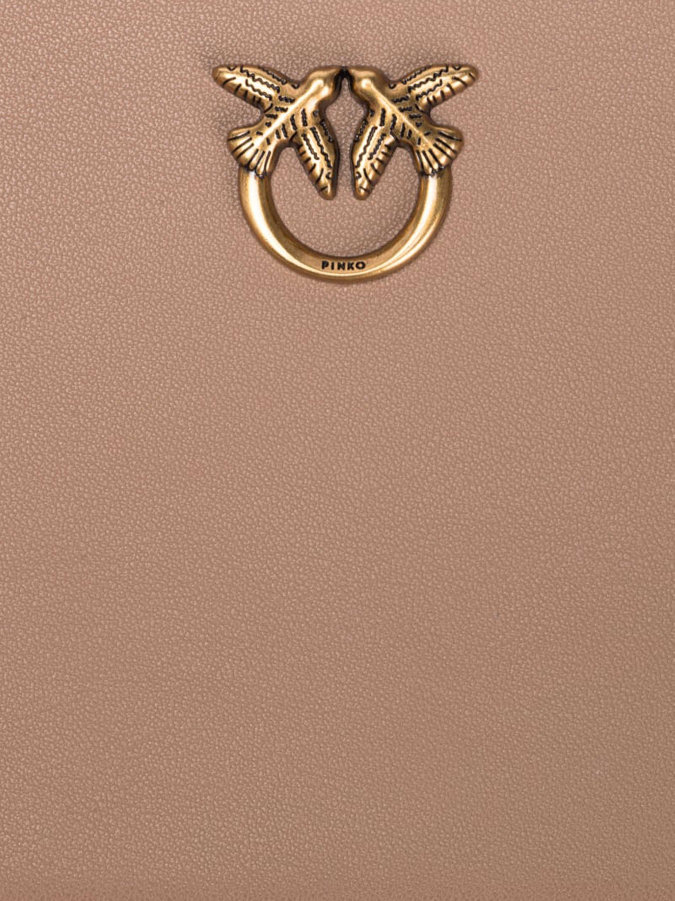 Кошелек PINKO Ryder Zip Around Vitello Seta модель 100250-A0F1 D01Q Фото