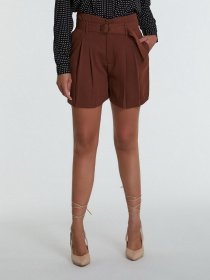 Повседневные шорты Piazza Italia модель 46710_tobacco Фото