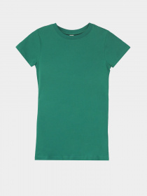 Футболка Piazza Italia модель 53303_green Фото