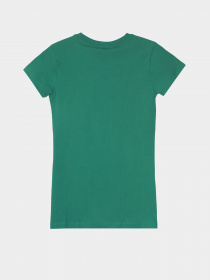 Футболка Piazza Italia модель 53303_green Фото