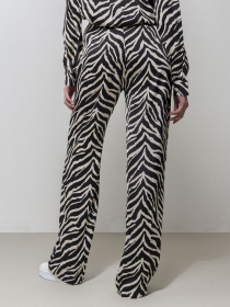 Брюки повседневные Piazza Italia модель 03093_var 1 Фото