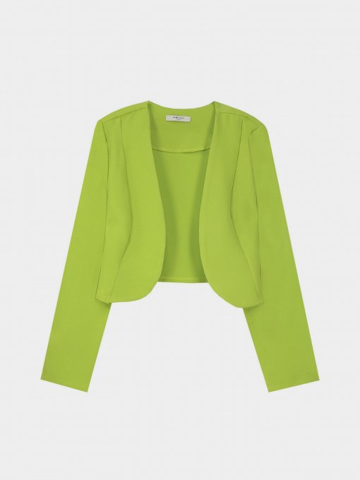 Блейзер Piazza Italia модель 16628_apple green Фото