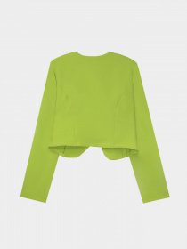 Блейзер Piazza Italia модель 16628_apple green Фото