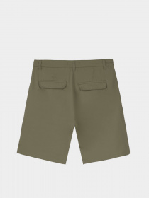 Шорты Piazza Italia модель 53953_sage Фото