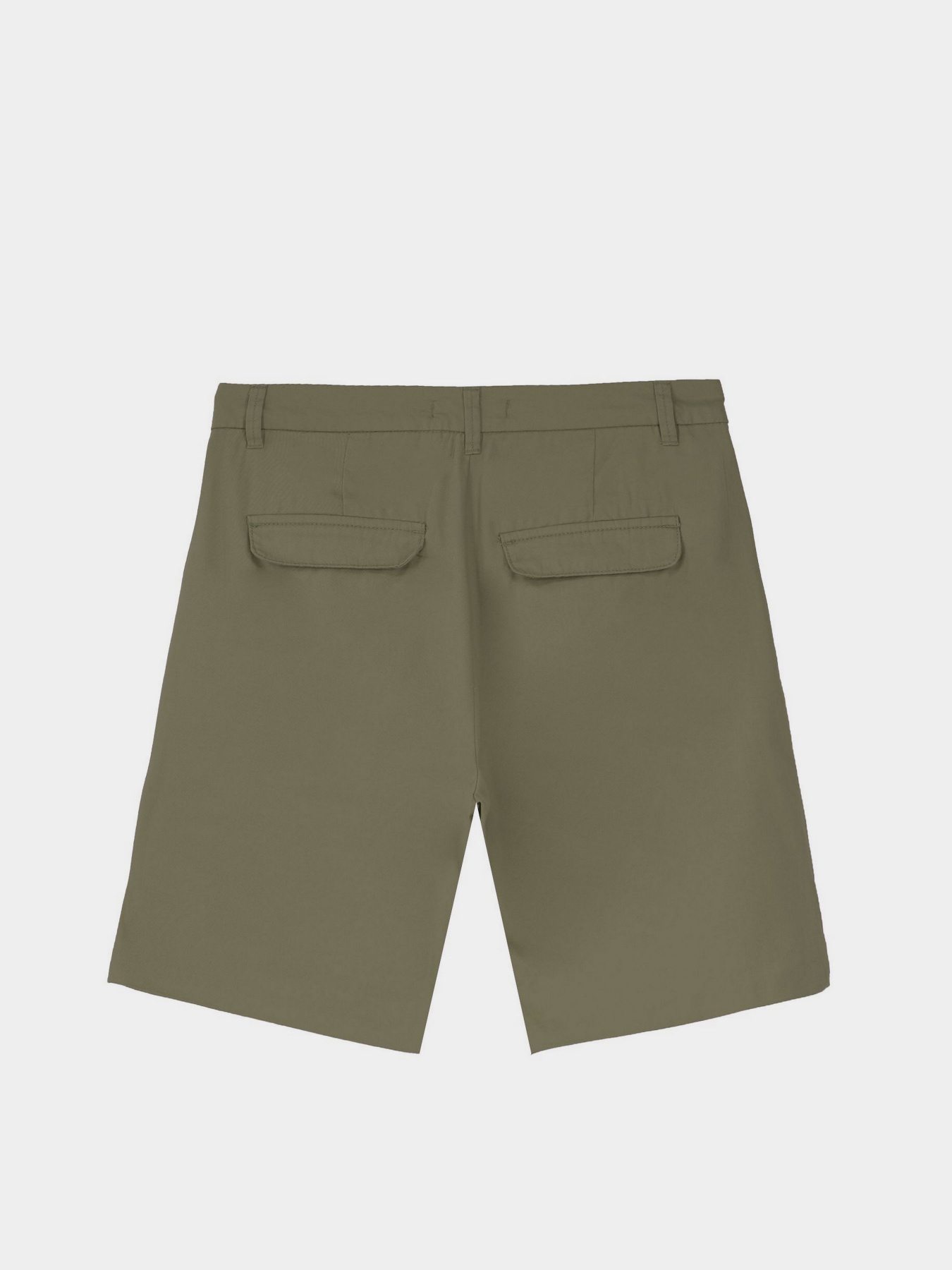 Повседневные шорты Piazza Italia модель 53953_sage Фото