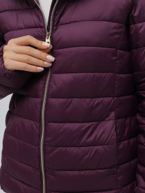 Демісезонна куртка Piazza Italia модель 06652_plum Фото