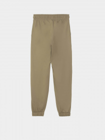 Джоггеры Piazza Italia модель 07336_sage Фото