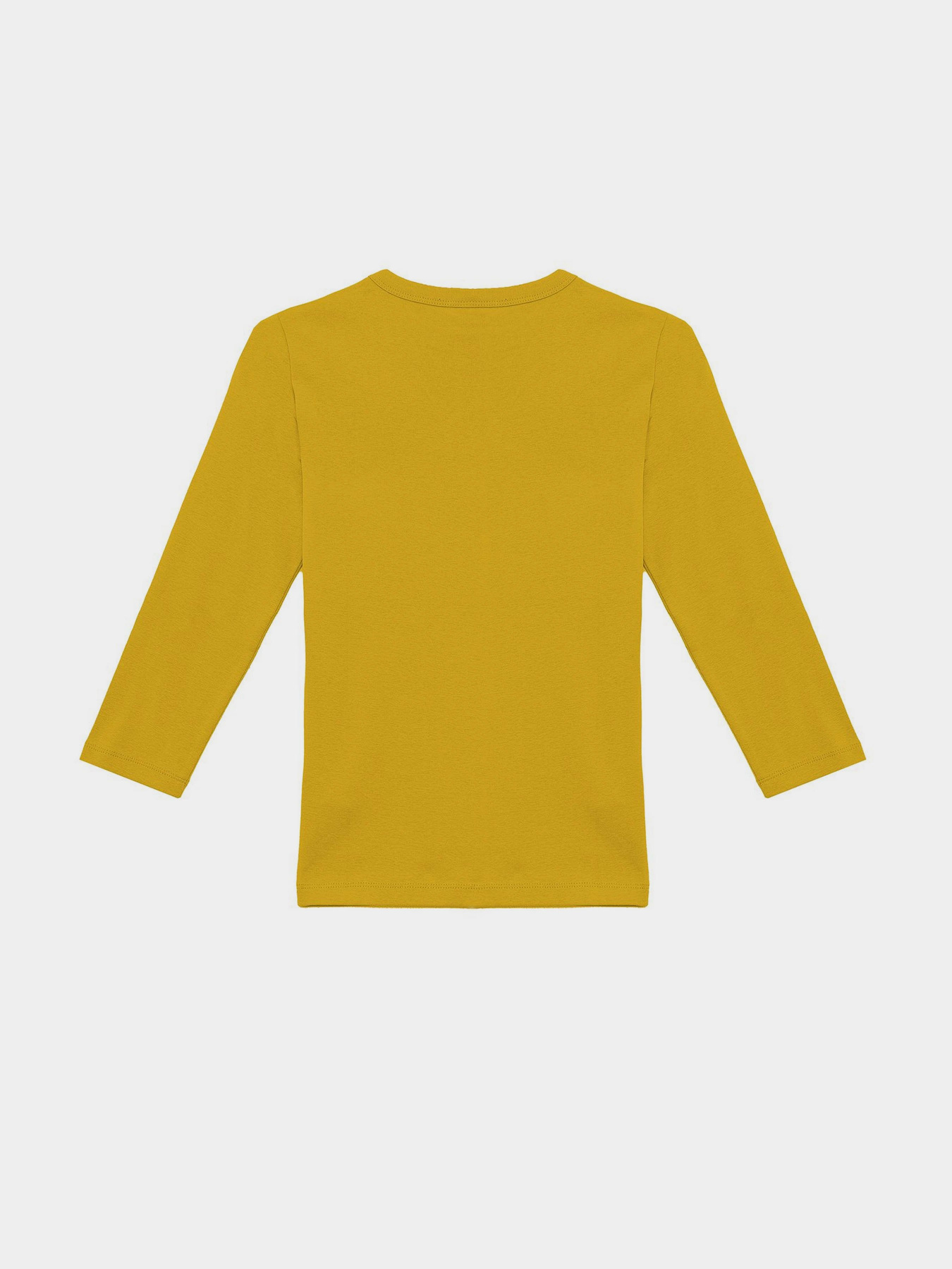 Лонгслив Piazza Italia модель 07343_mustard Фото