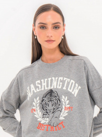 Світшот Piazza Italia модель 55414_grey melange Фото