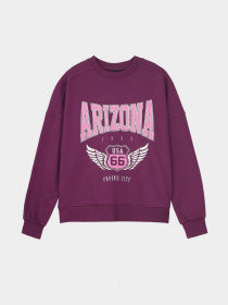 Свитшот Piazza Italia модель 55414_plum Фото