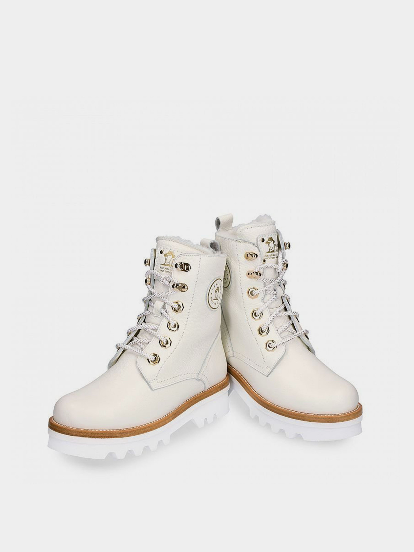 Черевики Panama Jack модель Mooly Igloo B2 Фото