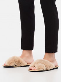 Тапки Braska модель 68-6D b Фото