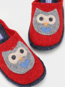 Тапки Inblu модель C2-1D r Фото