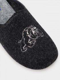 Тапки Inblu модель RP-3VB Фото