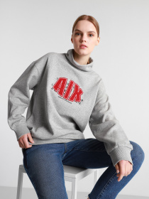 Свитшот Armani Exchange модель 6HYM18-YJ4CZ-3911 Фото