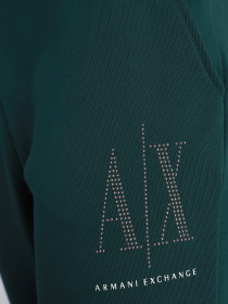 Спортивні штани Armani Exchange модель 8NYPDX-YJ68Z-1813 Фото