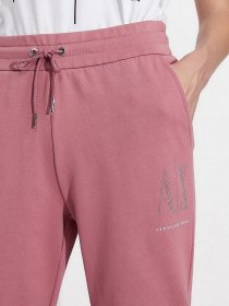 Штаны спортивные Armani Exchange модель 8NYPDX-YJ68Z-1493 Фото