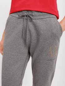 Спортивні штани Armani Exchange модель 8NYPDX-YJ68Z-3930 Фото