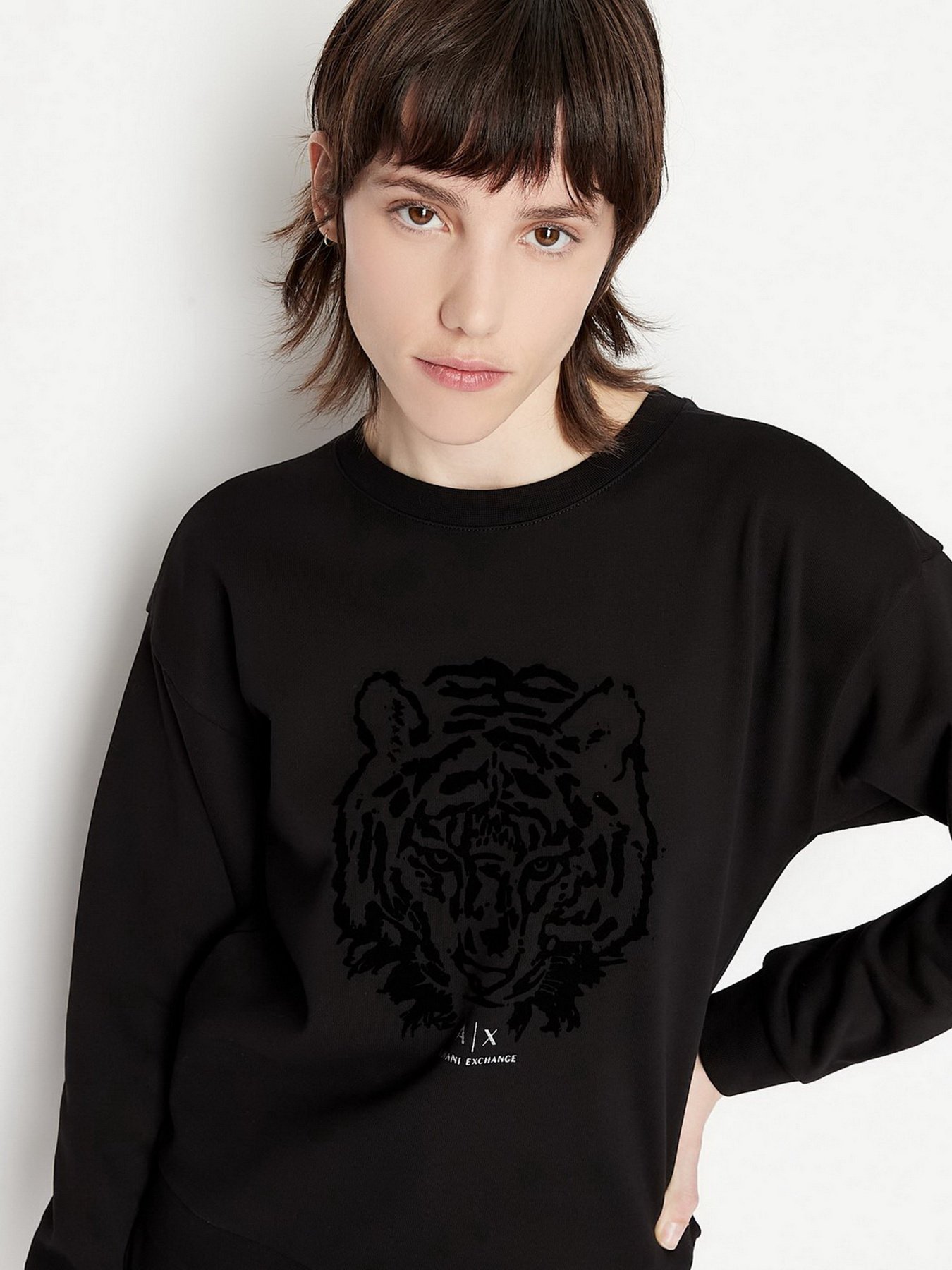 Світшот Armani Exchange модель 3LYM70-YJ68Z-1200 Фото