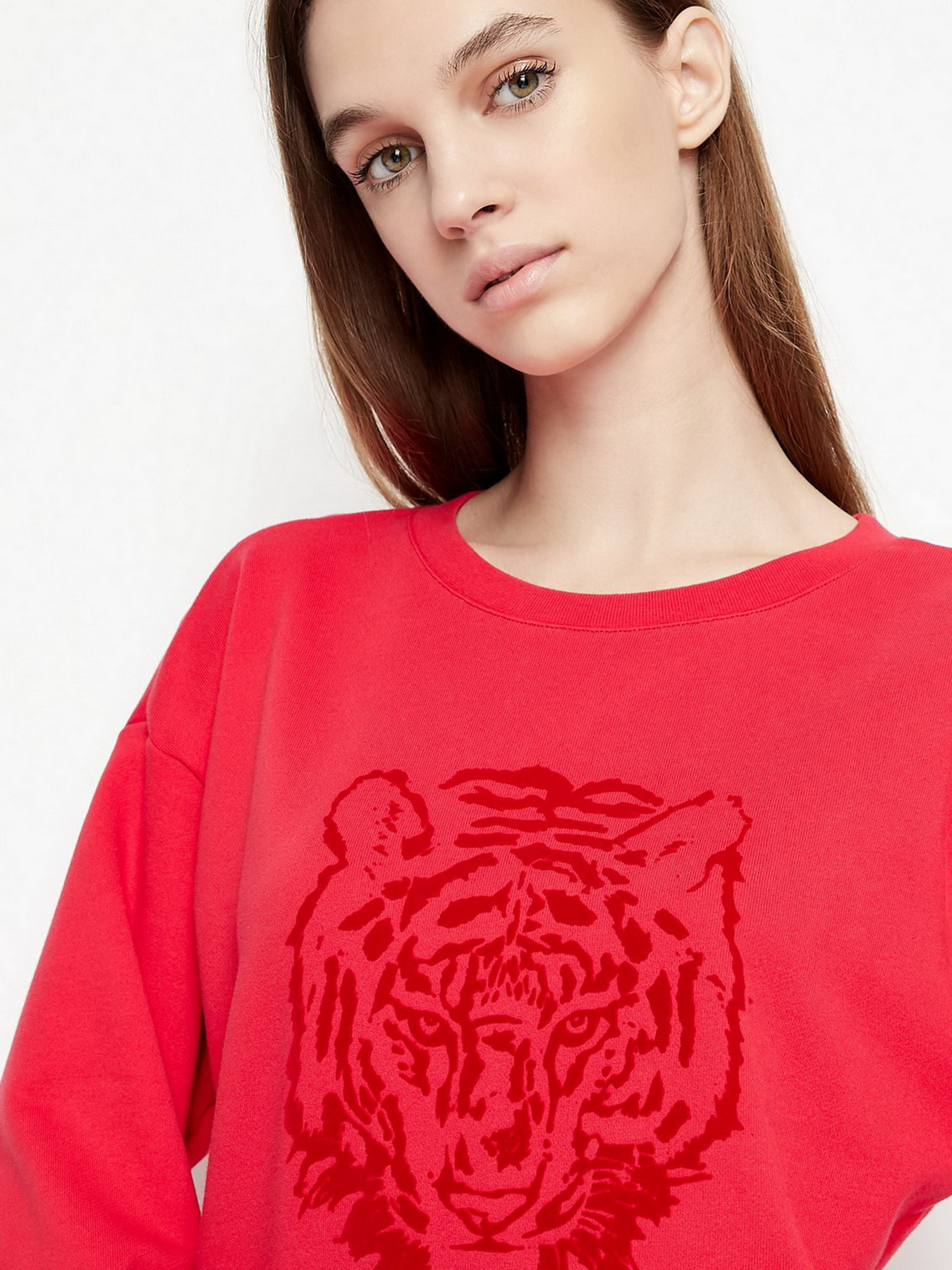 Свитшот Armani Exchange модель 3LYM70-YJ68Z-14AC Фото