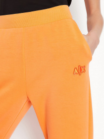 Штаны спортивные Armani Exchange модель 3LYP89-YJ3XZ-1685 Фото