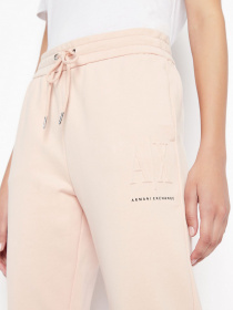 Штаны спортивные Armani Exchange модель 8NYPFX-YJ68Z-14AA Фото