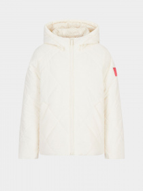 Демісезонна куртка Armani Exchange модель 6LYB08-YNVUZ-1130 Фото