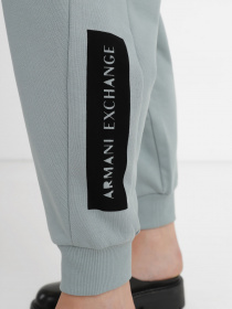 Спортивні штани Armani Exchange модель 6LYP78-YJE5Z-1872 Фото