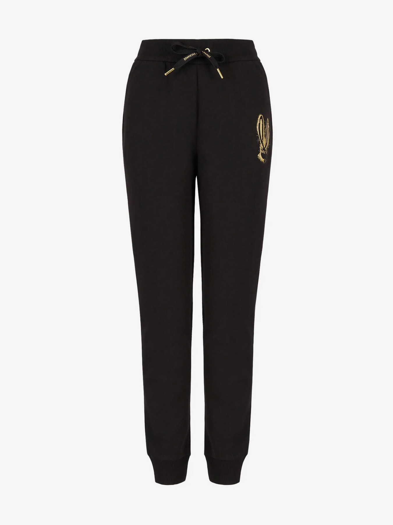 Штаны спортивные Armani Exchange Lunar New Year модель 3RYPAF-YJCMZ-1200 Фото