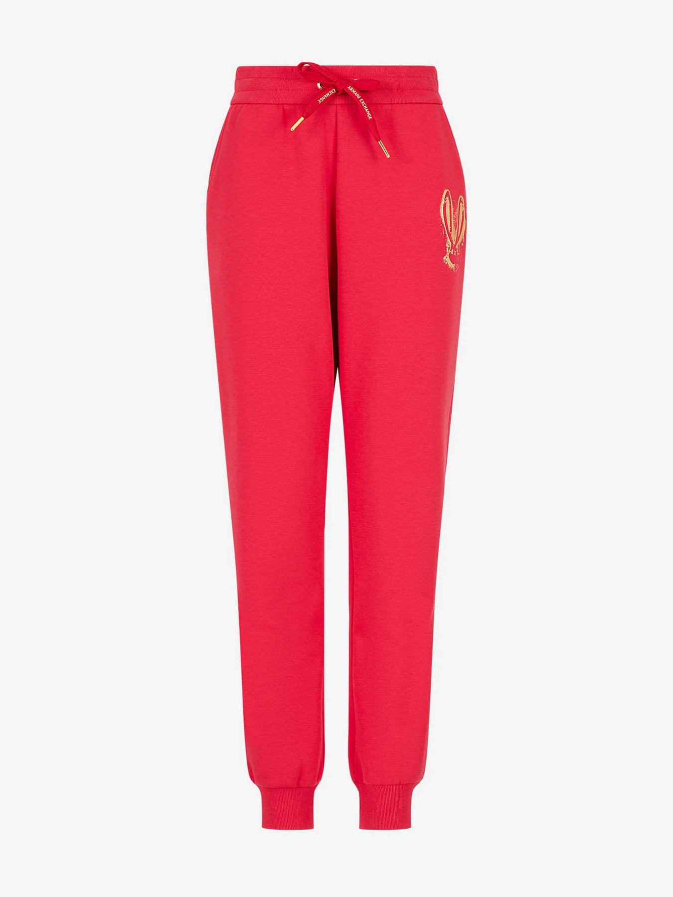 Штаны спортивные Armani Exchange Lunar New Year модель 3RYPAF-YJCMZ-1469 Фото