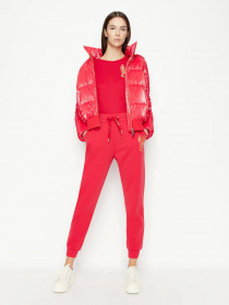 Штаны спортивные Armani Exchange Lunar New Year модель 3RYPAF-YJCMZ-1469 Фото