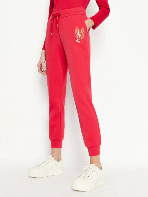 Штаны спортивные Armani Exchange Lunar New Year модель 3RYPAF-YJCMZ-1469 Фото