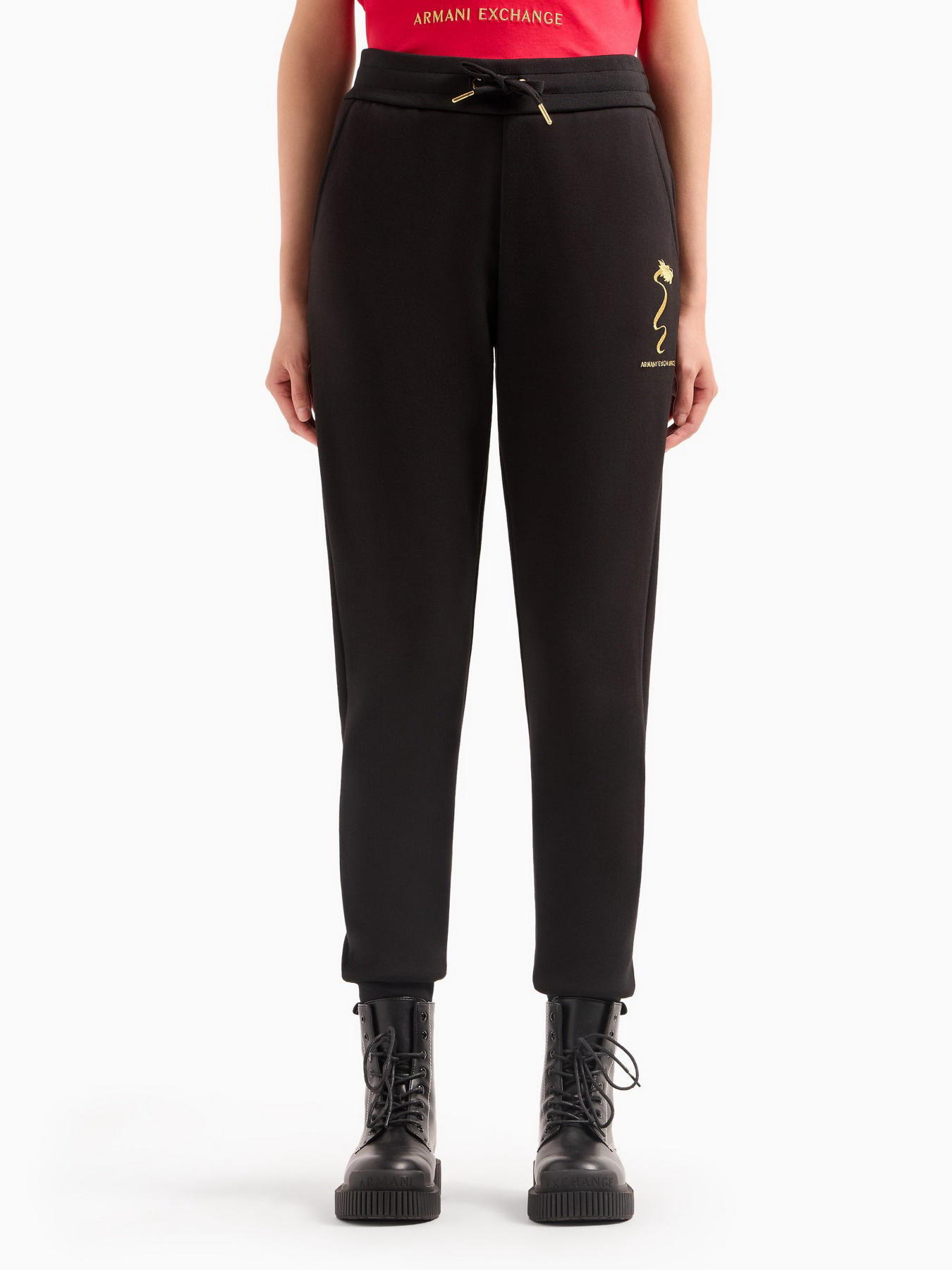 Штаны спортивные Armani Exchange Chinese New Year модель 3DYP40-YJU1Z-1200 Фото