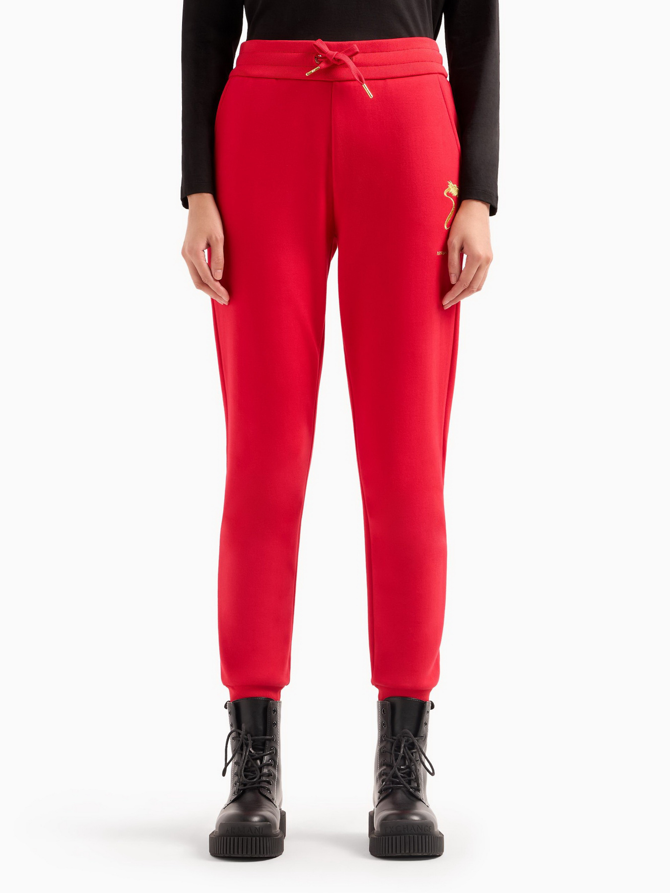 Спортивні штани Armani Exchange Chinese New Year модель 3DYP40-YJU1Z-1469 Фото