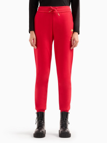 Штаны спортивные Armani Exchange Chinese New Year модель 3DYP40-YJU1Z-1469 Фото