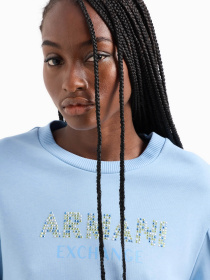 Свитшот Armani Exchange модель 3DYM32-YJFEZ-15DD Фото