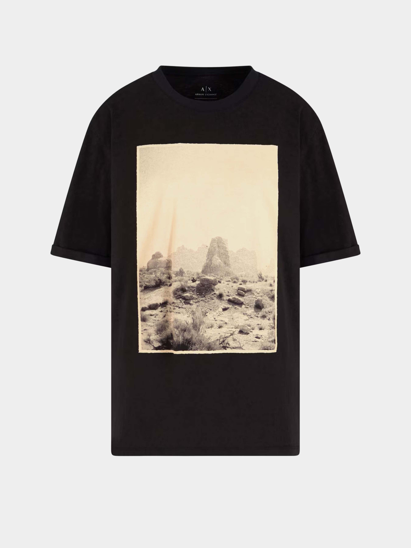 Футболка Armani Exchange модель XW000524-AF13237-UC001 Фото