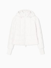 Демісезонна куртка Armani Exchange модель XW000650-AF16207-U1003 Фото