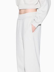 Спортивні штани Armani Exchange модель XW001293-AF16141-U1094 Спортивні штани Armani Exchange модель XW001293-AF16141-U1094 Фото