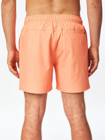 Шорты для плавания Rip Curl Daily Volley модель CBOVE4-4630 Фото