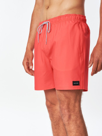 Шорты для плавания Rip Curl Daily Volley модель CBOVE4-4870 Фото