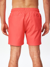 Шорты для плавания Rip Curl Daily Volley модель CBOVE4-4870 Фото