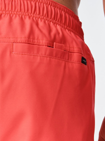 Шорты для плавания Rip Curl Daily Volley модель CBOVE4-4870 Фото