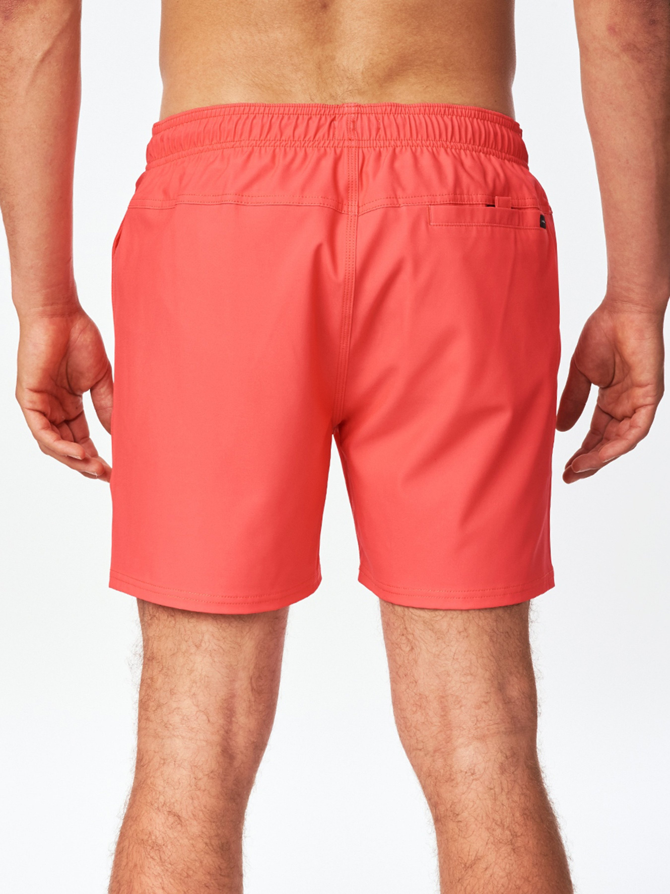 Шорты для плавания Rip Curl Daily Volley модель CBOVE4-4870 Фото