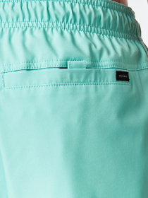 Шорты для плавания Rip Curl Daily Volley модель CBOVE4-8074 Фото