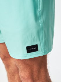 Шорты для плавания Rip Curl Daily Volley модель CBOVE4-8074 Фото