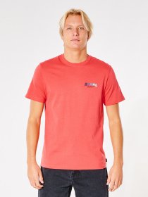 Футболки и поло Rip Curl Surf Revival Inverted модель CTEXK9-4870 Фото