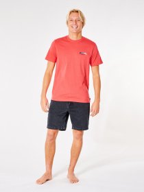 Футболки и поло Rip Curl Surf Revival Inverted модель CTEXK9-4870 Фото